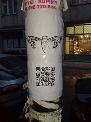 cicada_3301_poster_warsaw.jpg?w=700&h=93