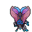 1548779117-Hibernal_Moth.gif