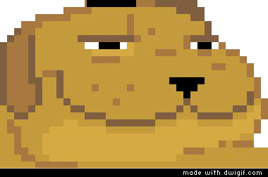 22gup84.jpg
