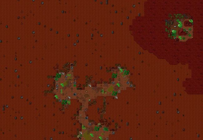 24890.JPG