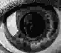 b.jpg?w=700