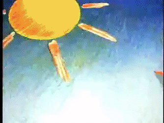 Faber Castell "Aquarela"- 1995 - Segunda Versão GIF | Gfycat