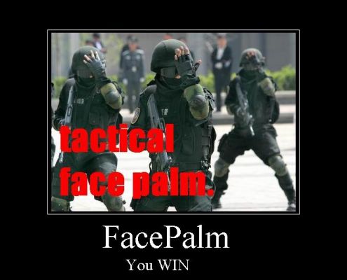 Face_Plam_by_serg987654.jpg