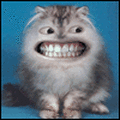 GATO_SORRISO.gif