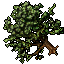 Pear_Tree.gif