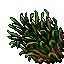 Sugar_Cane.gif