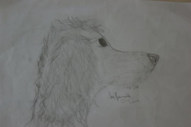 brutus__the_drawing__by_fernandol-d4axajb.jpg