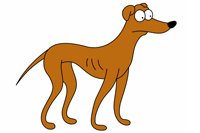 cachorro_magro.jpg