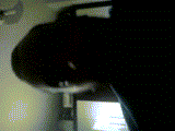 f9rK4r6.gif