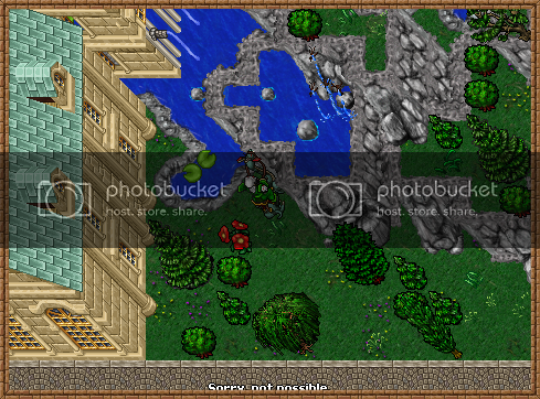 foto5_zpsf34a77c4.png