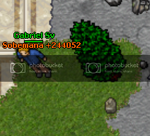 sobevida.png