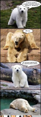 urso_pintinho.jpg