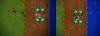 post-32947-0-90848400-1358613392_thumb.j