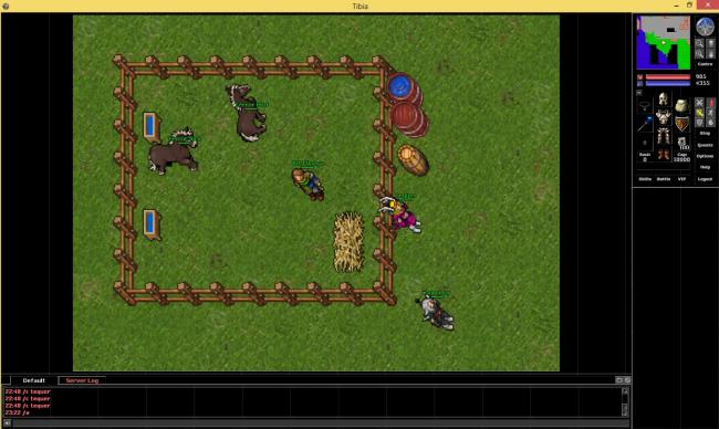 Cavalo tibia.jpg