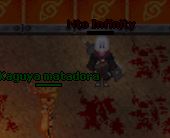 BUG.JPG