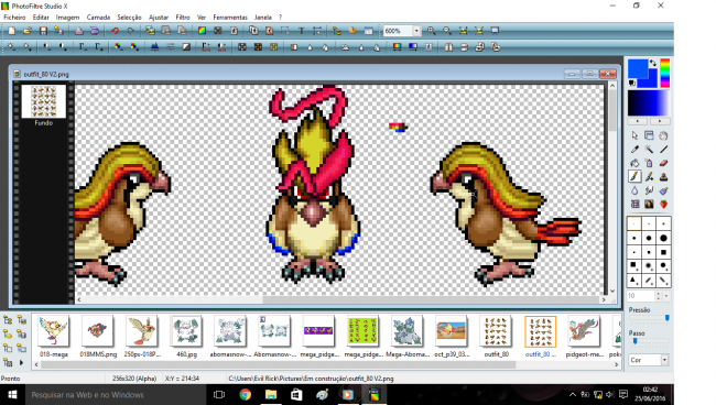 Tentando fazer mega pidgeot 2.png
