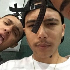 Koallex