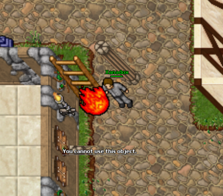 Tibia KING 1.png