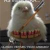 Meu Pinto